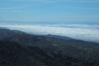 Fog in Santa Clara Valley