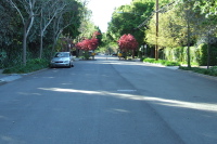 View north on the Ellen Fletcher Bike Boulevard (Bryant St.) in Palo Alto