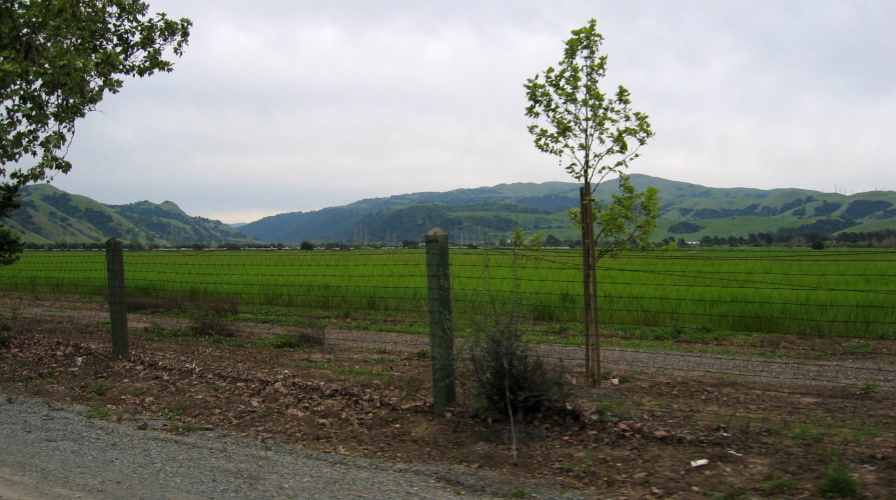 Sunol Valley