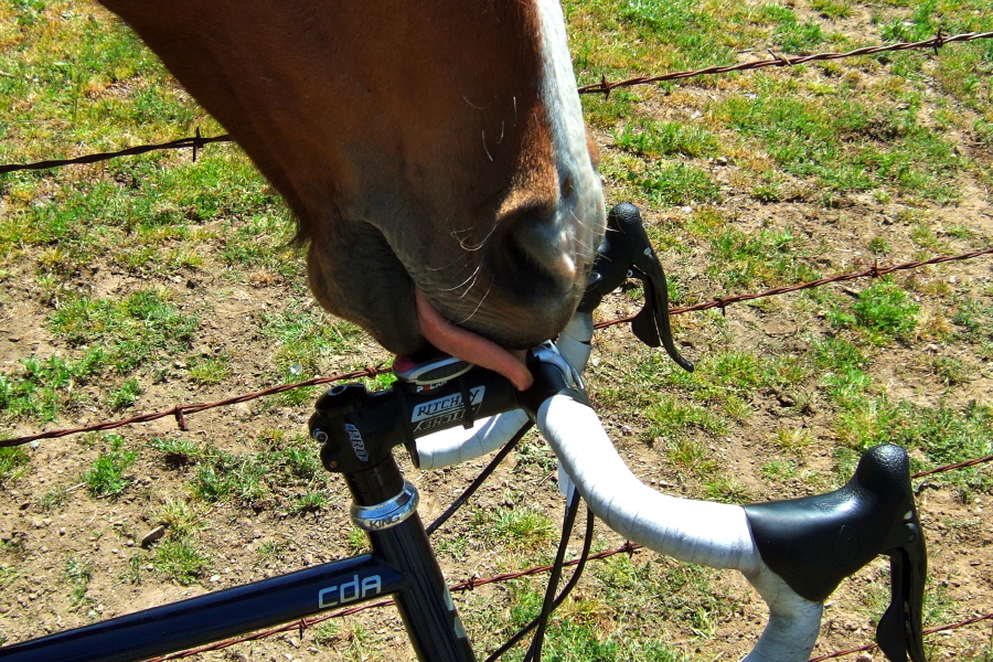 Someone was getting a clean stem and computer!