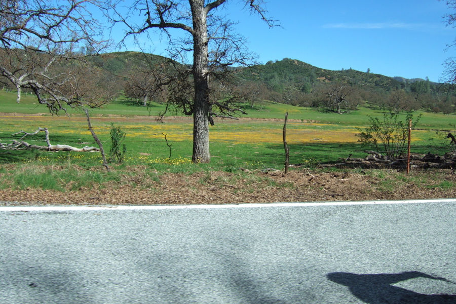 More color in Upper San Antonio Valley