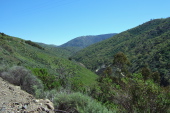 View looking up Arroyo Mocho canyon