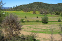 Fields of the Arnold Ranch (1980ft)