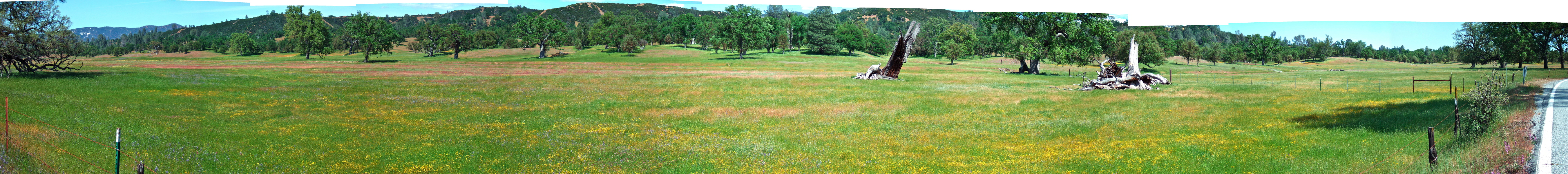 San Antonio Valley Panorama (3).