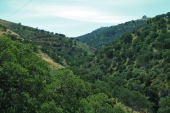 View up Arroyo Mocho Canyon.