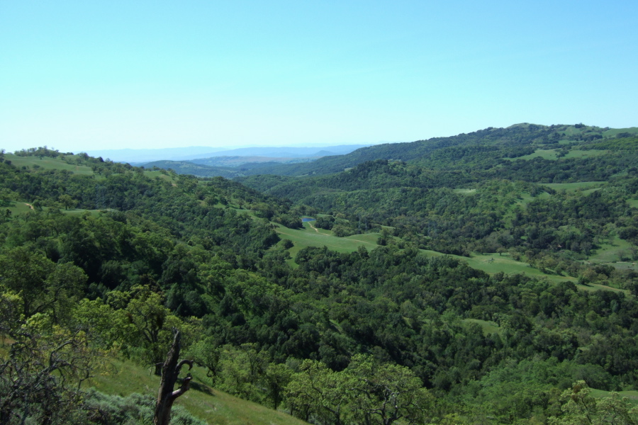 View toward San Felipe Valley