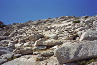 Looking up the final scramble to the summit of Mt. Hoffman