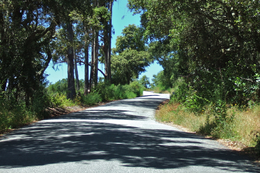 Climbing up Mt. Madonna Rd.