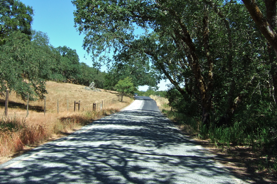 Entering the land of oaks and grass at the bottom of Redwood Retreat Rd.