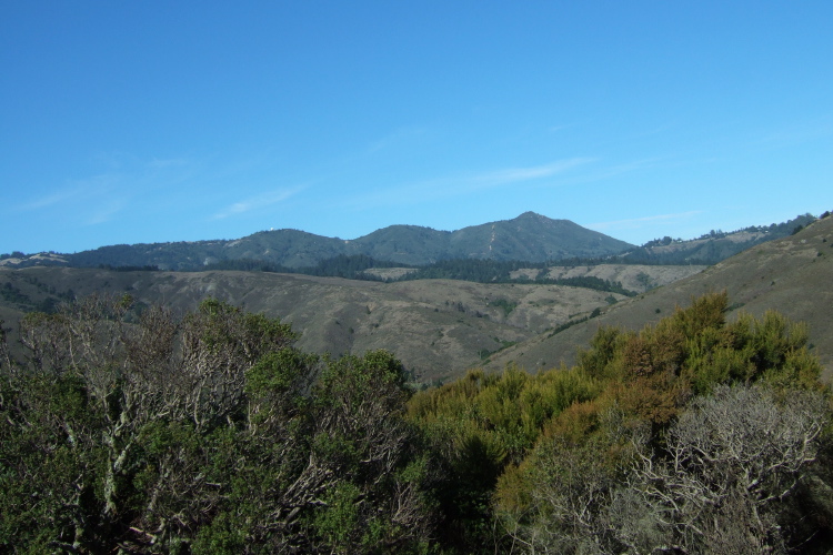 Mt. Tamalpais from CA1 while climbing out of Muir Beach.