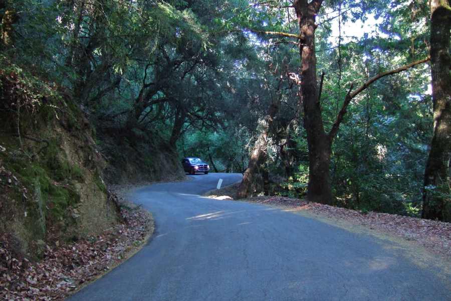 Upper reach of Bear Gulch Rd. west