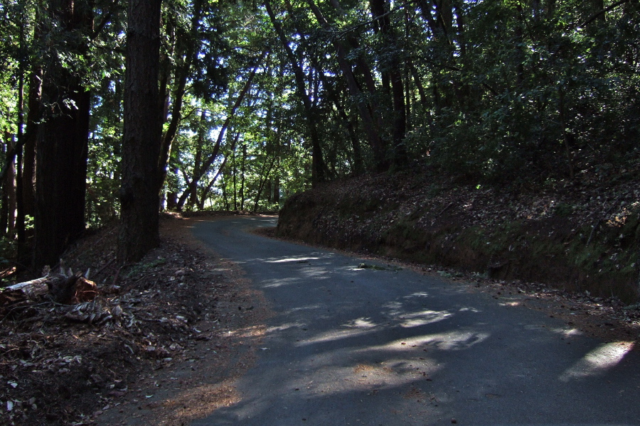 Descending Star Hill Rd. (1)