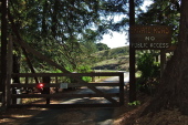 Gate at end of Bear Gulch Rd. (west)
