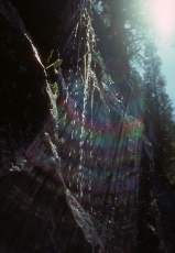 Sunlight through the water dripping off the rock along the John Muir Trail (1)