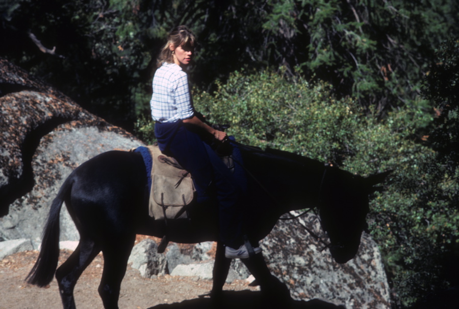 Woman on mule descends John Muir Trail