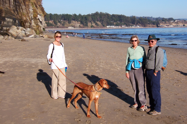 Laura, Kumba, Alice, and Ron at Capitola Beach.