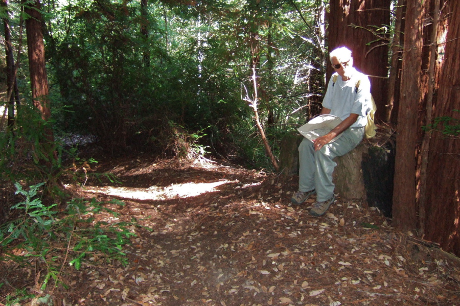 David rests on a comfortable moss-covered tree stump.