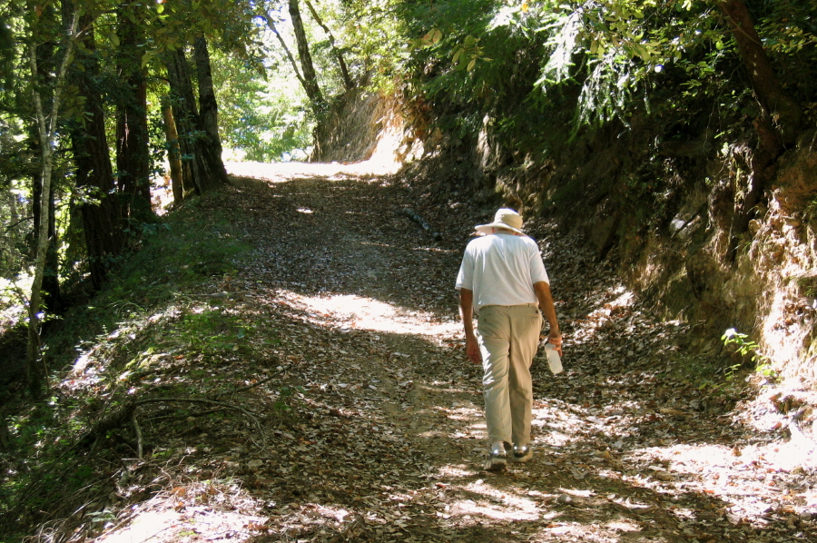 David climbing a hill on the Butano Ridge Rd.  (1580ft)