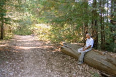 David rests on a log on the Basin Trail (2080ft)
