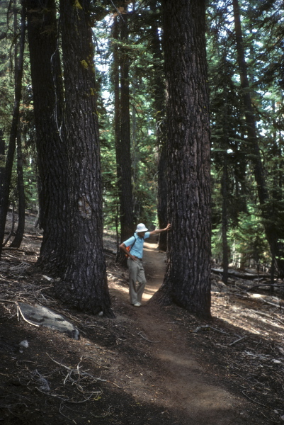 David pauses on the trail to North Dome.