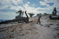 The serpent on North Dome waits to strike passers-by.