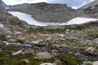 David making his way along Conness Creek.