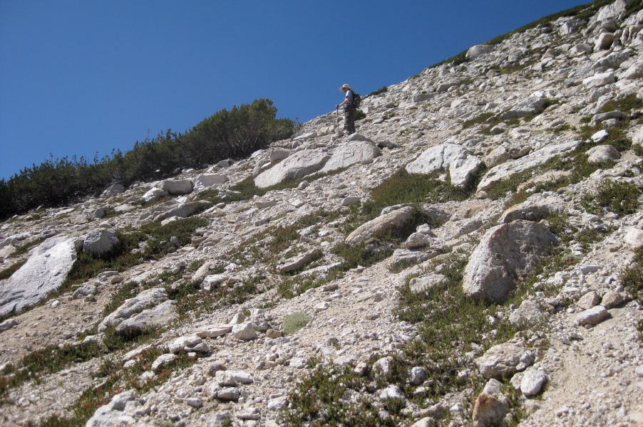 Bill leads the way up.