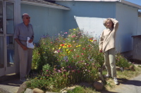 David and Kay admire a wildflower garden in Mendocino.