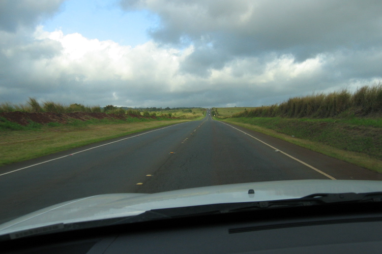 Driving Highway 99 through the sugarcane and pineapple fields back to Honolulu.