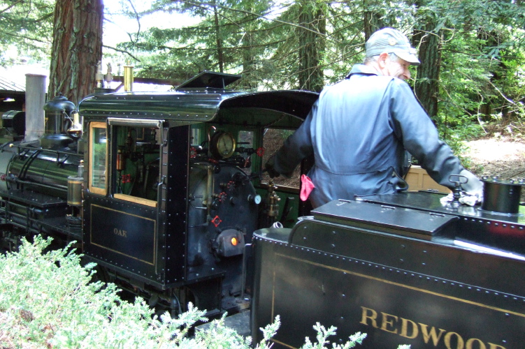 Tilden steam trains locomotive cab.