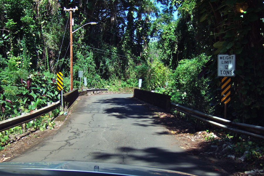 Crossing Ka'ie'ie Stream on Old Mamalahoa Highway.