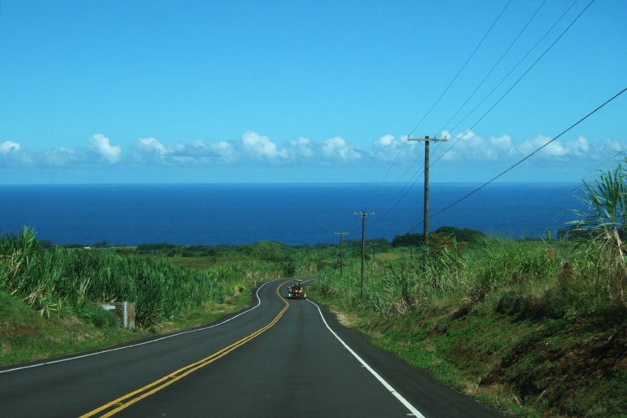 Descending HI220 from Akaka Falls Lookout