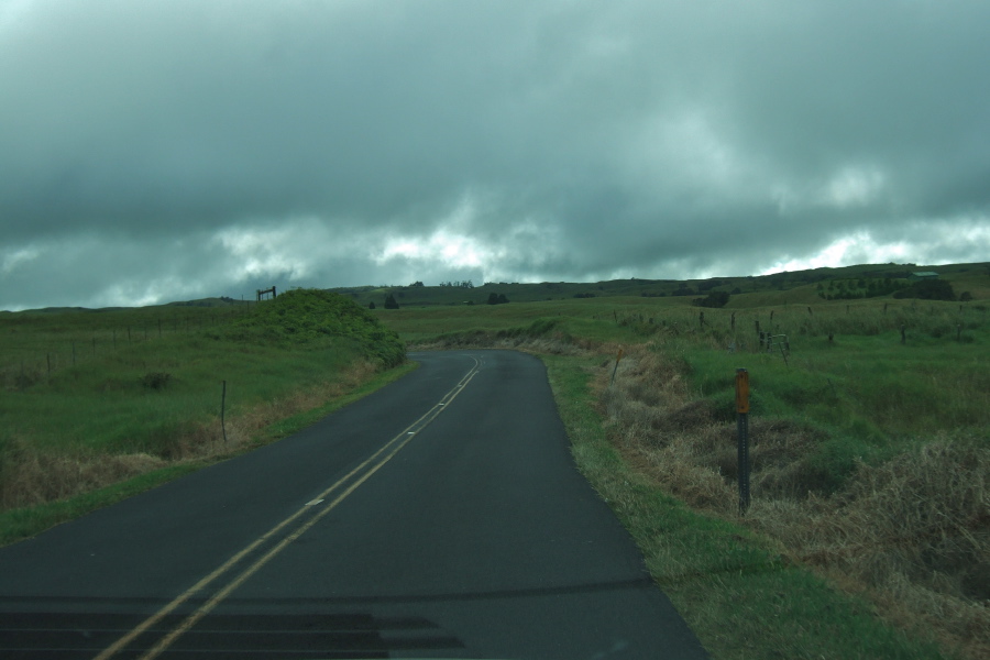 Old Mamalahoa Highway between Honoka'a and Waimea reminds me of the grassy hills of northern Marin County.