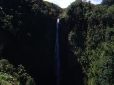 Video: Akaka Falls