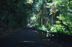 and continue north on the narrow Old Mamalahoa Highway.