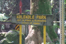 Entering Kolekole Park
