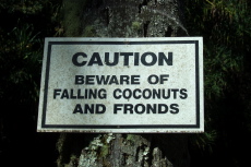 This sign was posted near a line of coconut trees.