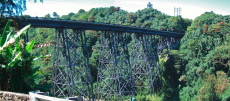 Bridge at Hakalau