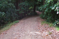 Starting up the steep connector trail to Old Haul Rd.