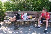 Zach enjoys a good lie-down in the shade, Triangle Park, Portola Valley