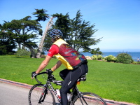Randall rides along Ocean View Blvd., Pacific Grove and admires an old Monterey cypress.