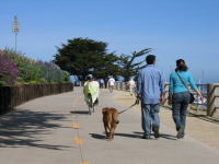 Ron rides the bike path in Monterey. (1)