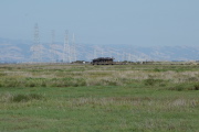 Interpretive center stands over the marsh.