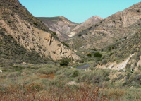 Griswold Canyon, looking downhill