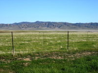 Panoche Valley