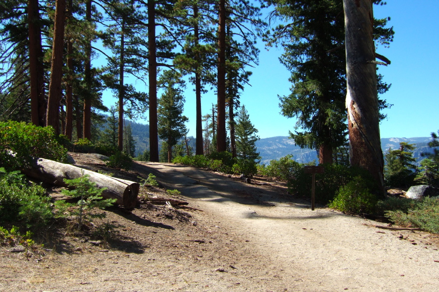 Panorama Trail at junction with trail to Mt. Starr King