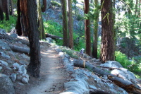 David heads down Panorama Trail to John Muir Trail.