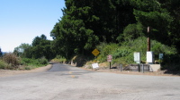 Portola State Park Rd. and Alpine Rd. (1590ft)
