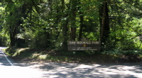 Passing by Sam McDonald Park on Pescadero Rd. (610ft)