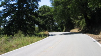 Pescadero Rd., top of Haskins Hill (1060ft)
